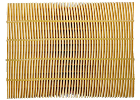 06C 133 filtre à air de 843 automobiles pour Audi A4 8E2 B6 Seat EXEO 3R2