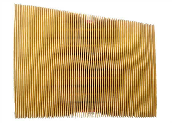 De pp d'injection filtre à air d'automobile de textile tissé non 165468296R 16546-8296R pour Re-nault Truck